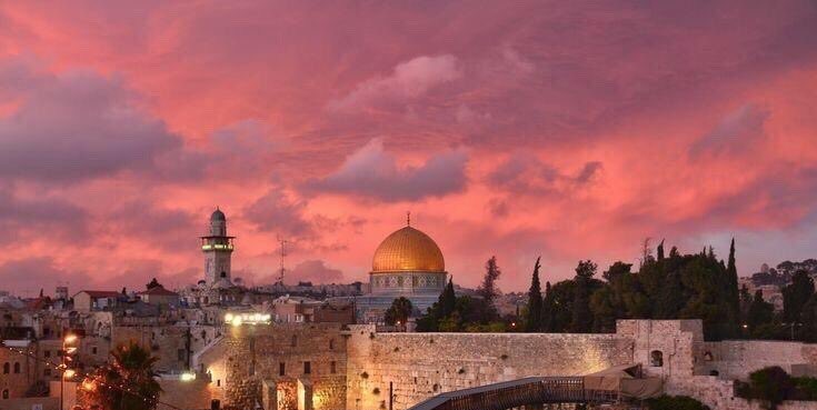 ابن ابراهيم tweet media