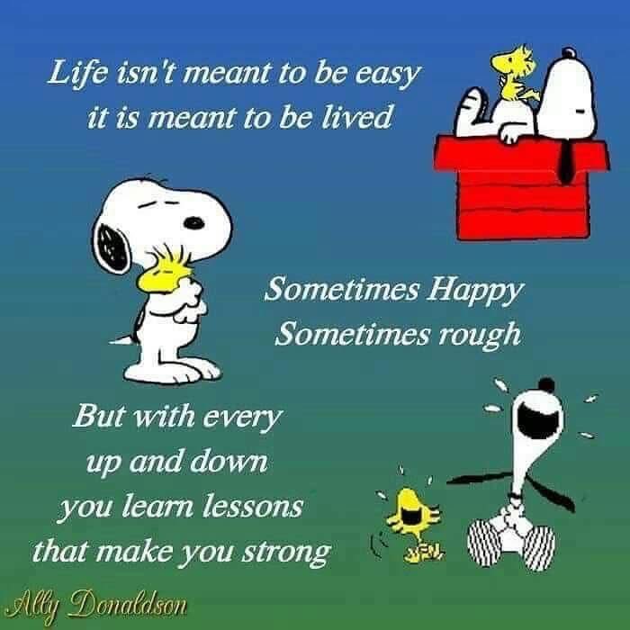 joanie_tweet's tweet image. Good Saturday Morning! 
Life is Full of Ups and Downs.
The Trick is to ENJOY the UPS and Have COURAGE During the DOWNS! 😊❤️🤗
#Life #UpsandDowns
#SaturdayVibe #SaturdayMotivation
