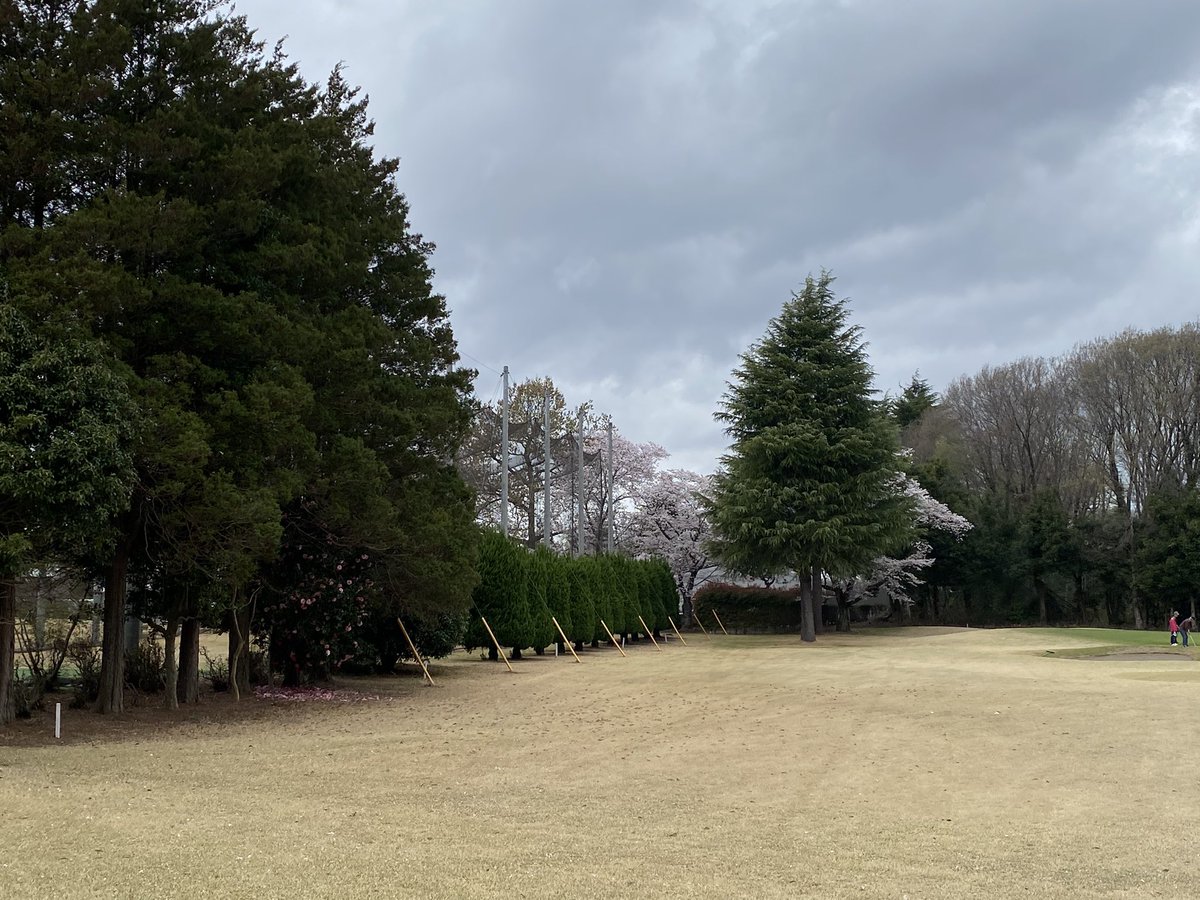 watmos1950's tweet photo. #golf
#シニア https://t.co/WHU9boAtyZ