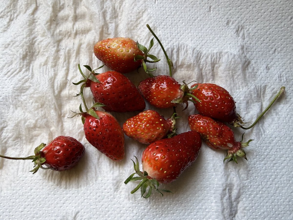 tiff ⊙⊝⊜ tweet media