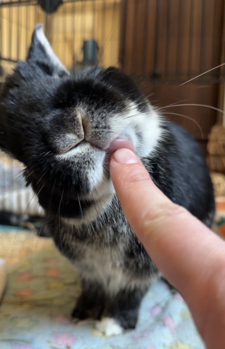 tiff ⊙⊝⊜ tweet media