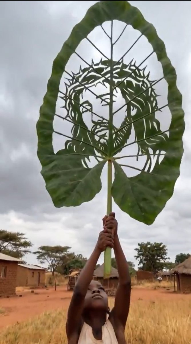 Tyson Mwebaze tweet media