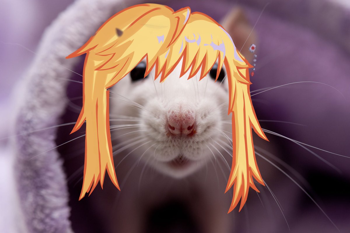 luell ☆🦇 tweet media