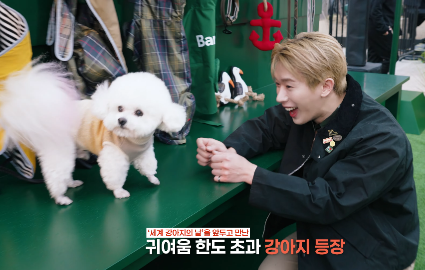 MaxWeneer's tweet photo. there's a puppy on the screen and it's the one on the right

https://t.co/J7mLrQnv0D

#WONHOxBarbour
#원호 #WONHO #Barbour #SpringwithBarbour
@official__wonho https://t.co/nnJQjDvQcj