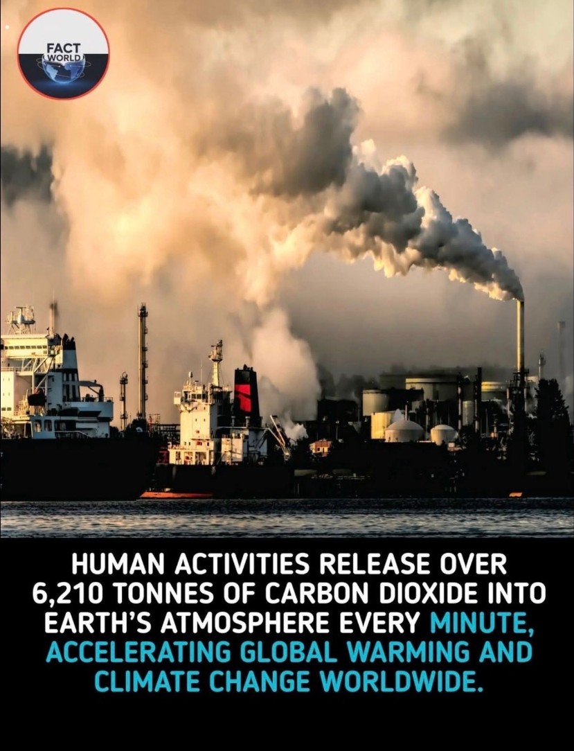 Fernando Ubatuba tweet media