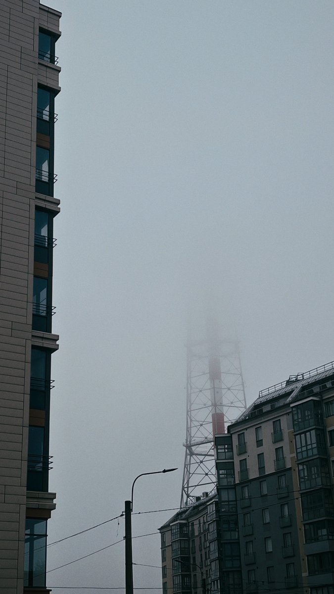 Hedonist tweet media