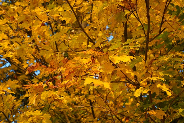 Brian Alves tweet media