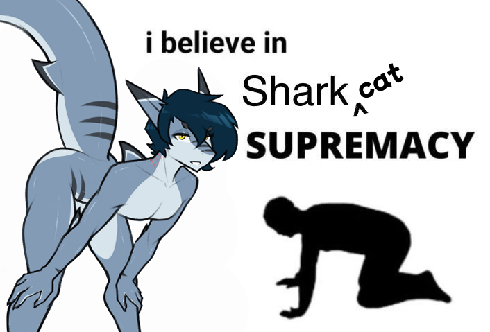 SharkCatSG (Comms Closed) tweet media