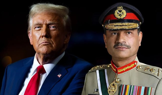 عبدالحنان عاصم tweet media