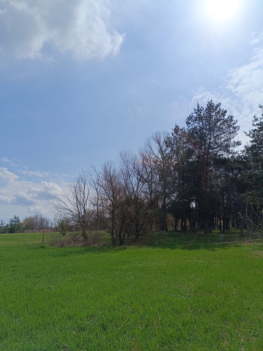 Mia Lauri tweet media