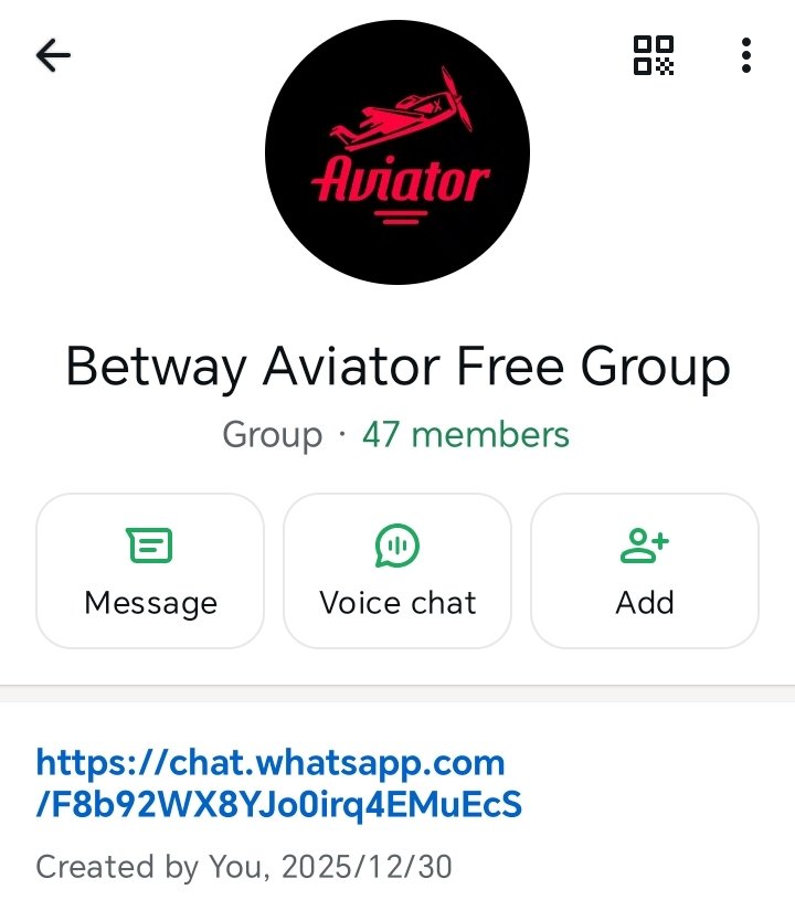 that airplane guy tweet media