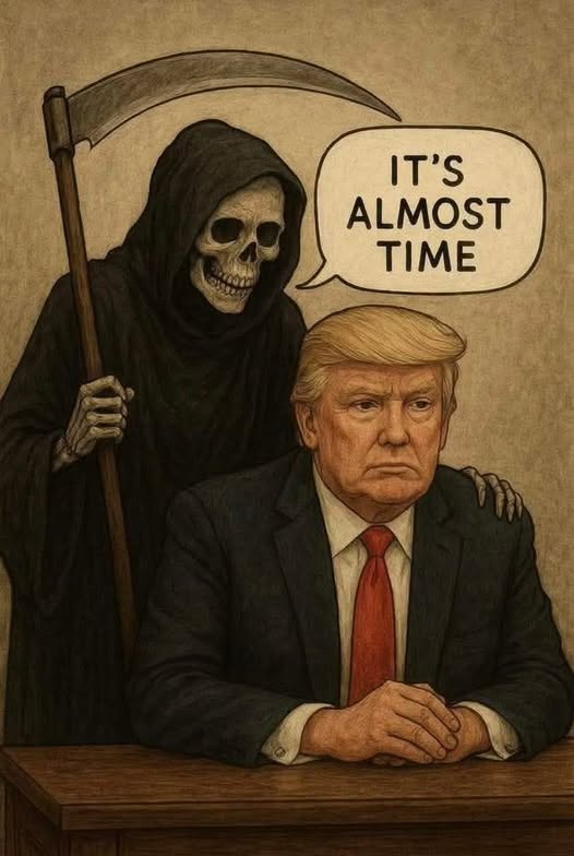 Poppy 💫🇦🇺☮🍅🥒🥕🥭🍊🍋 tweet media