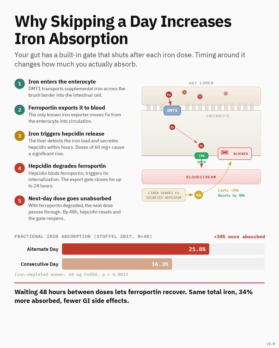 William A. Wallace, Ph.D. tweet media