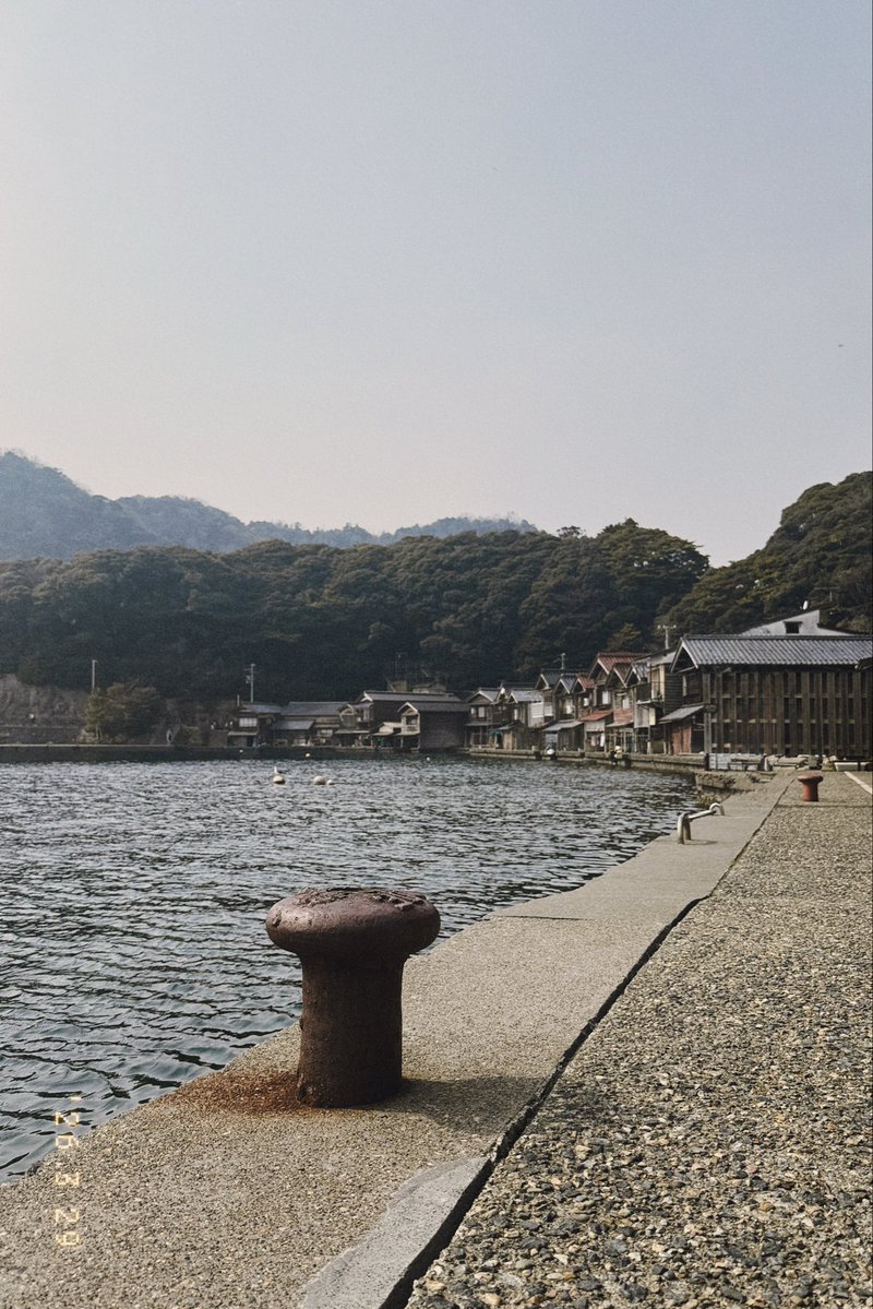 桜井元希 / Motoki Sakurai tweet media