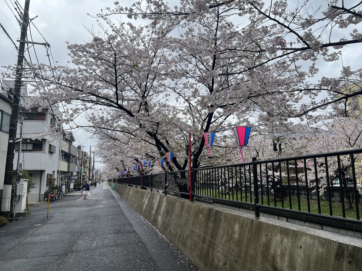 キートン・J tweet media