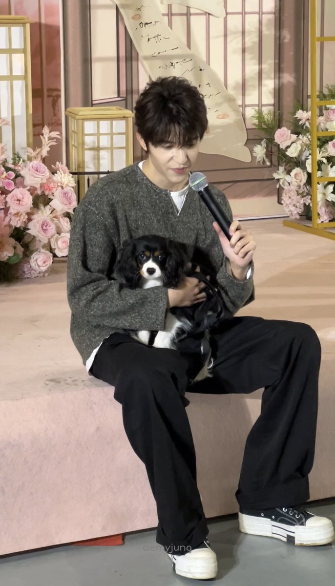 aemyjung tweet media