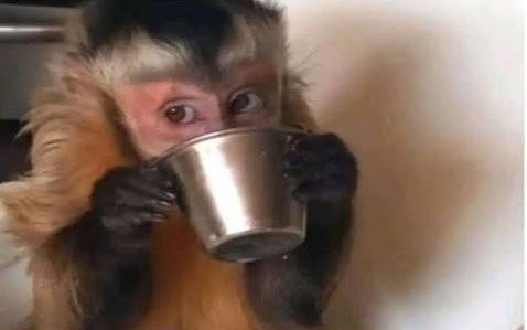 Ana_LaPatata tweet media