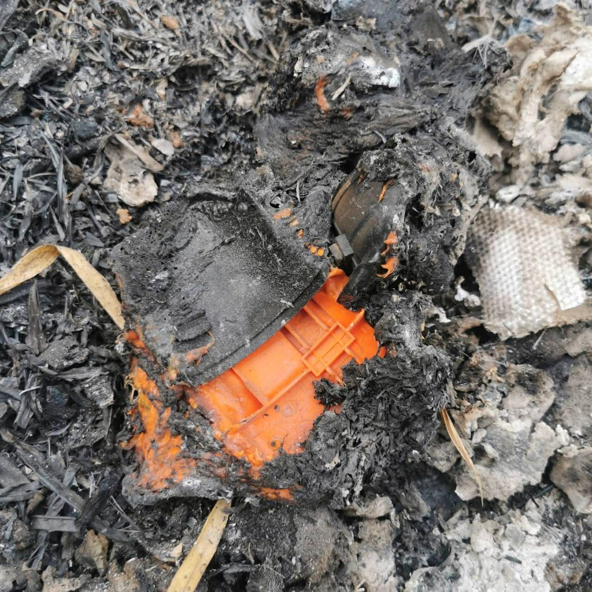 บก.ลายจุด tweet media