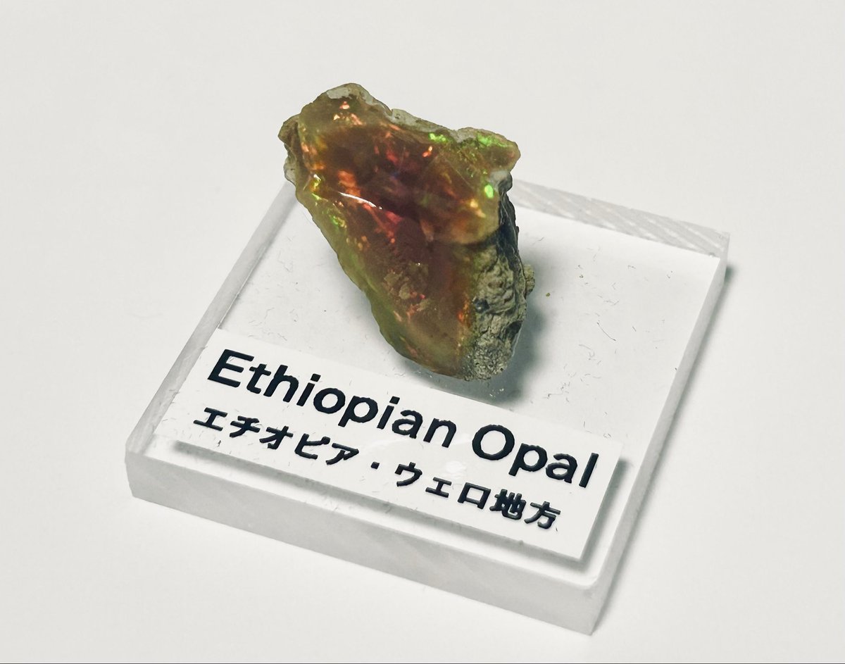 🌻レイ-Ray-🌻 tweet media