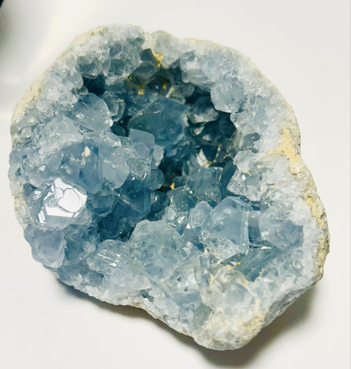 🌻レイ-Ray-🌻 tweet media