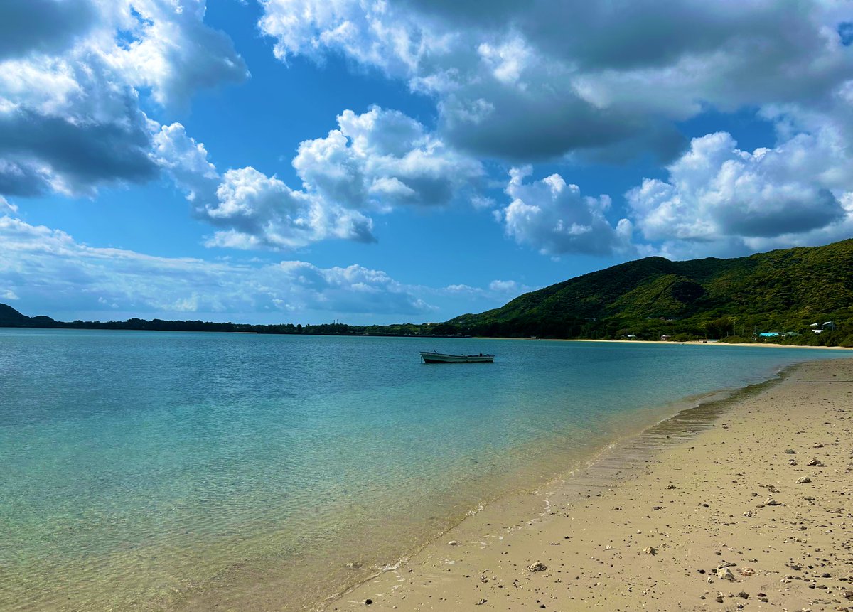 ひいな tweet media