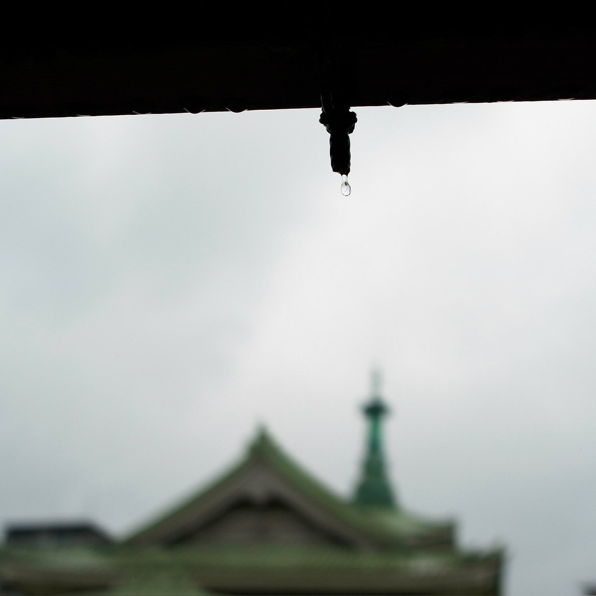 オオムロ tweet media