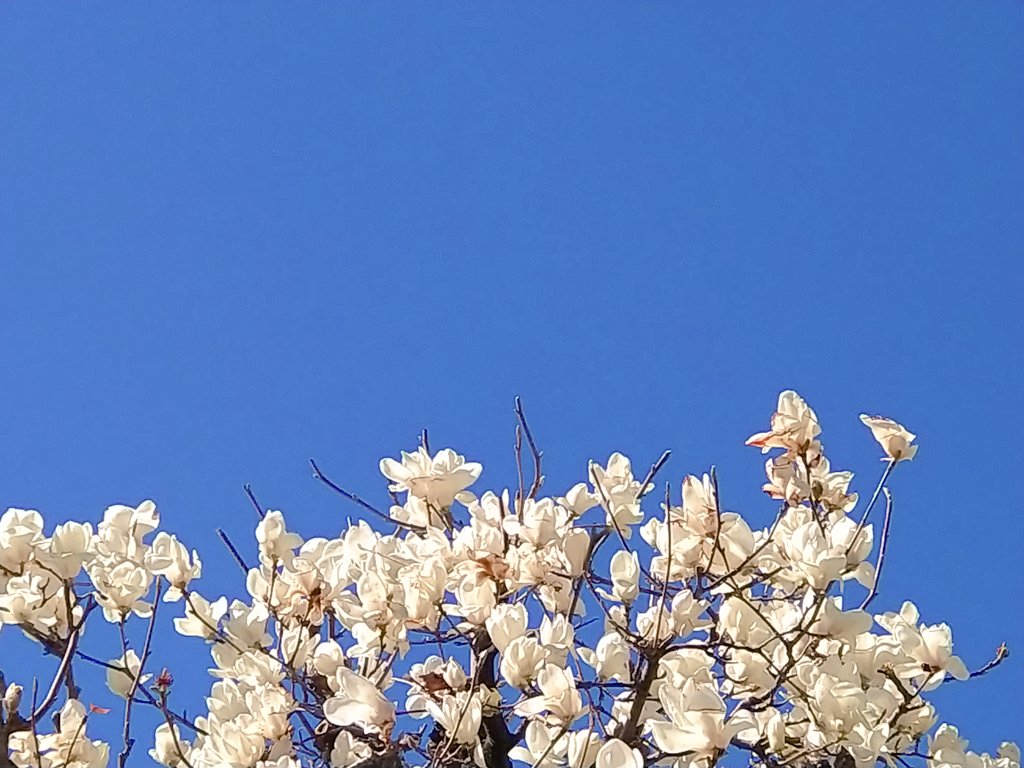 あっこ tweet media