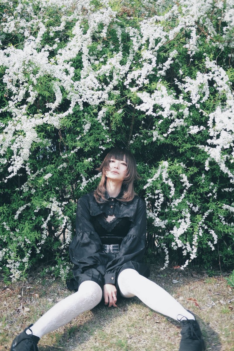 お弁当👻🍎 tweet media