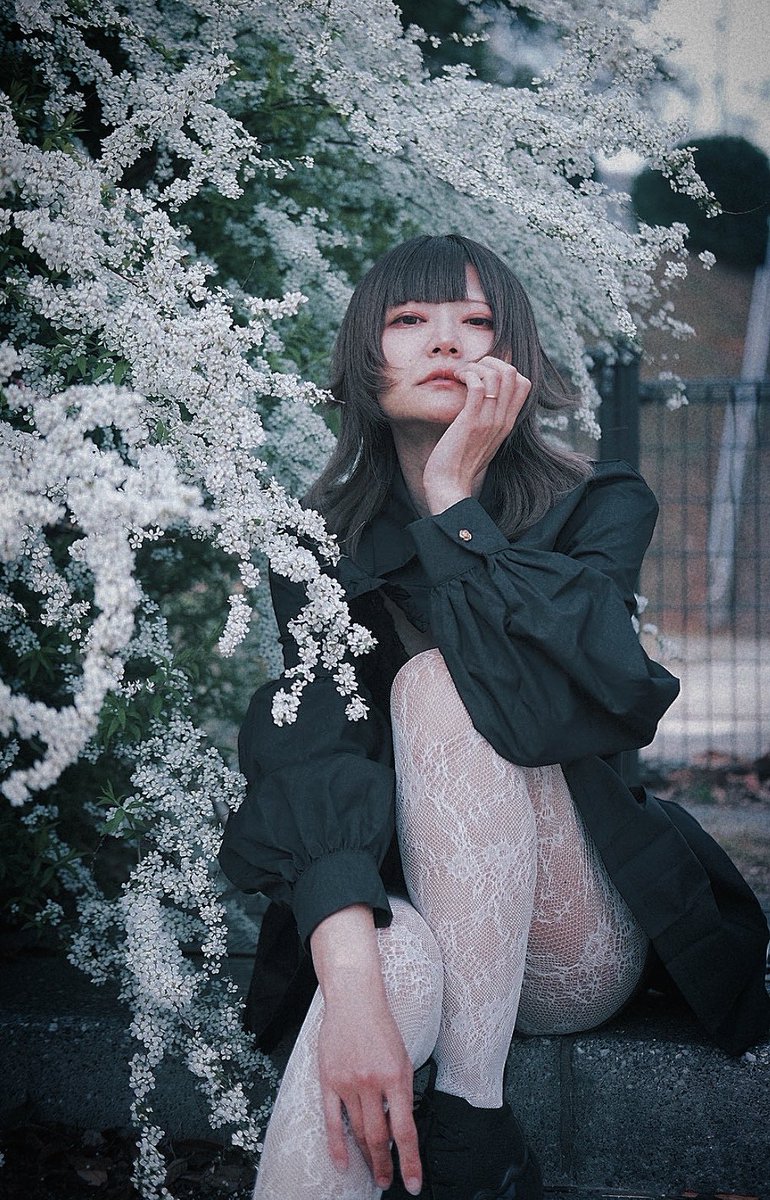 お弁当👻🍎 tweet media