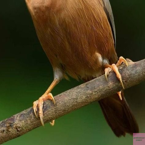 YAPPINGFESS tweet media