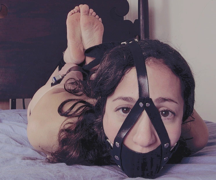 BDSM and much more tweet media