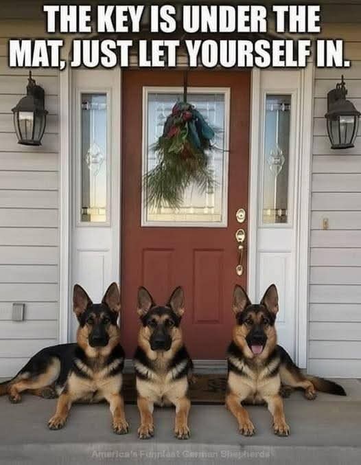 shuggie mcshuggle tweet media