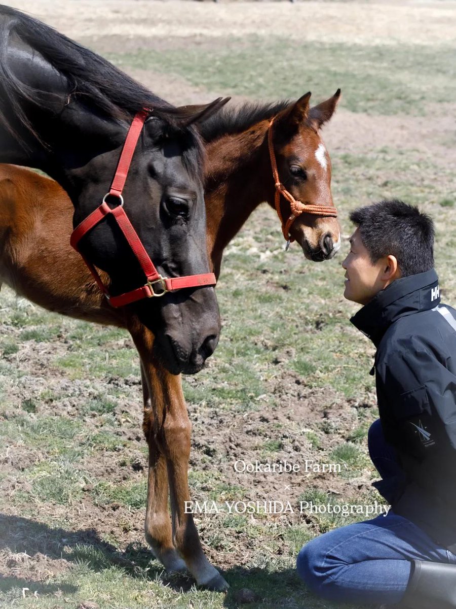 Ema Yoshida 【個展4/16〜4/30仙台ガレ】 tweet media