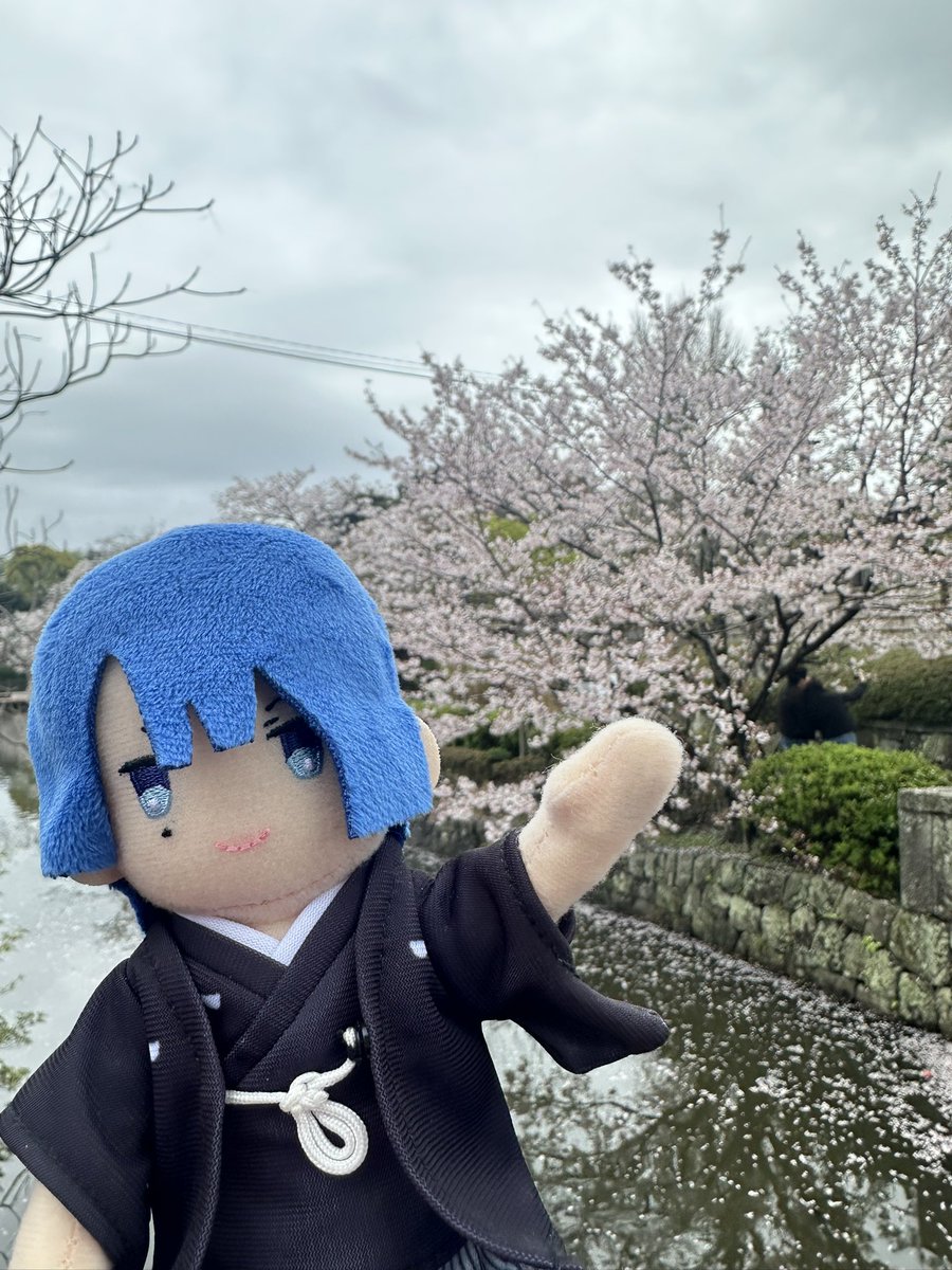 ❄siyuki❄ tweet media