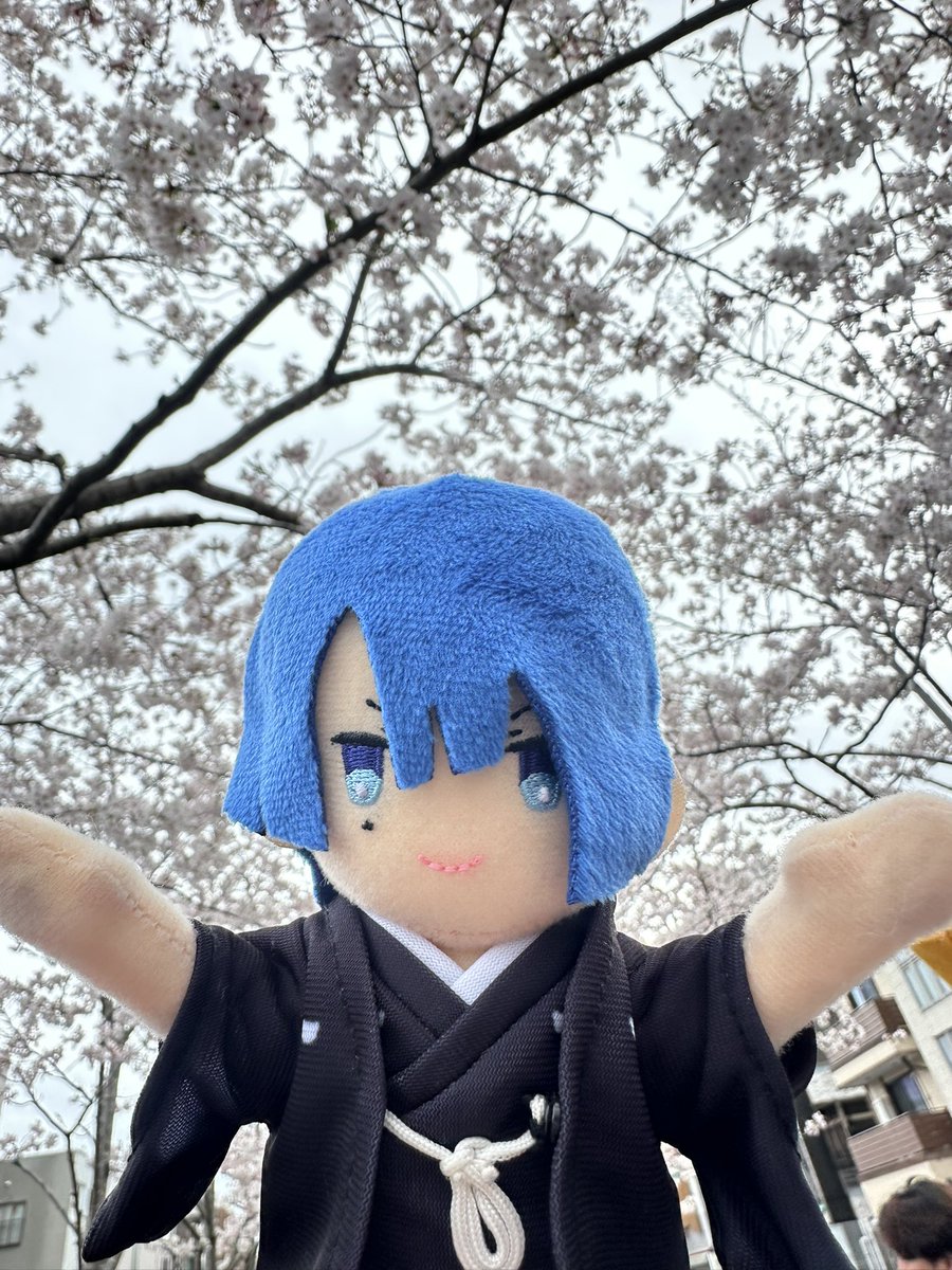 ❄siyuki❄ tweet media