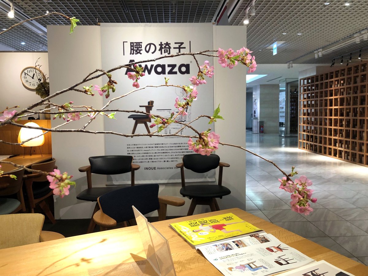 isujuku's tweet photo. 今日も新宿パークタワーOZONE「腰の椅子・Awaza」��ャラリー。東京は桜の一番いい時期。通勤？の道々、麻布の桜も楽しみながら都庁経由でOZONEへ。ショウルームも河津桜が満開。帰り「世界堂」に寄ったついでに新宿ACTUSへ。PPモブラーのウエグナーコーナーがあり、ついでに国産家具もリサーチ。品質、クオリティーに置いてもAwazaは国産だけで無く北欧椅子にも充分遜色無いこと再確認。お客様の目は超えているので常に妥協しない最高品質のものを提供するのががビジネスのキーワード。