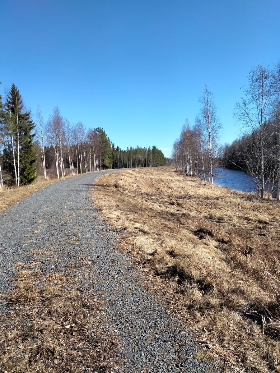 Suvi 🇫🇮 tweet media