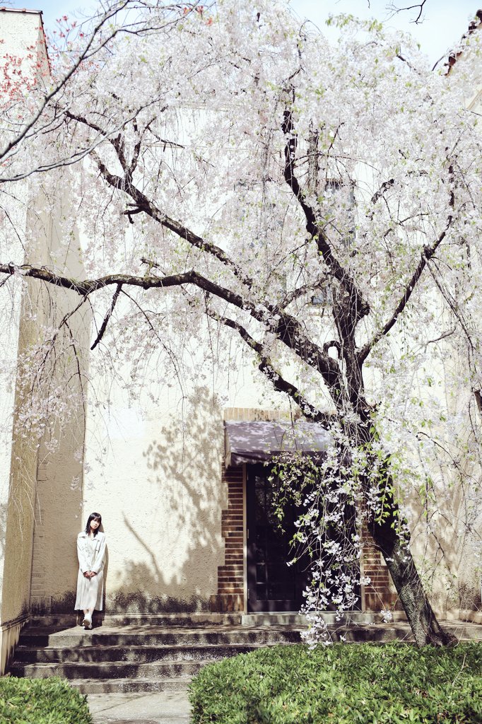 パルピコ tweet media