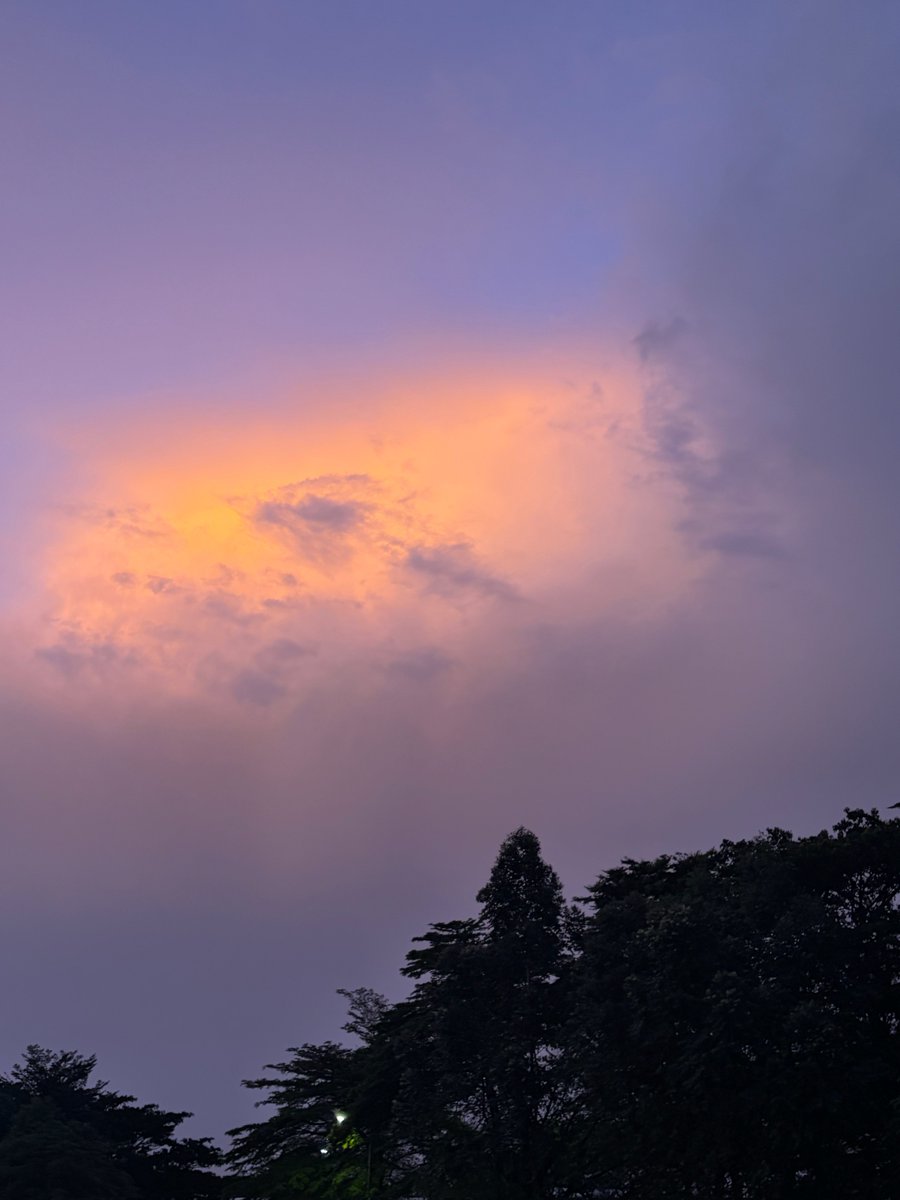 Sunshine tweet media