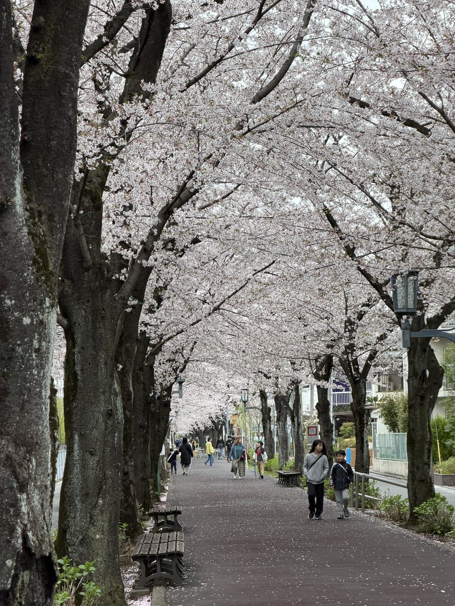 みっつ🥃🐏 tweet media