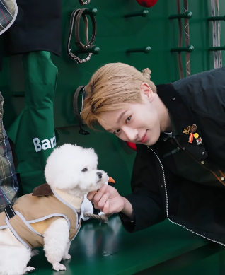MaxWeneer's tweet photo. he's the happiest when he sees a puppy 😭💙

https://t.co/jApN952grl

#WONHOxBarbour
#원호 #WONHO #Barbour #SpringwithBarbour
@official__wonho https://t.co/VroKd9tl7K