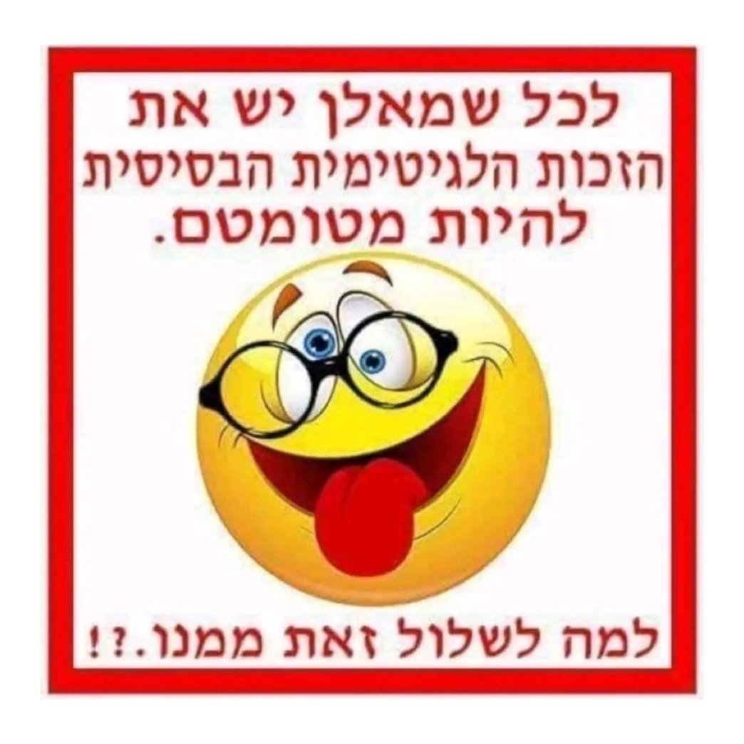 zao10zao tweet media