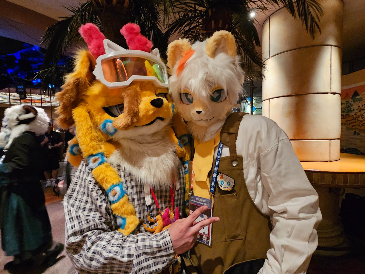 SKIPO🐙 tweet media