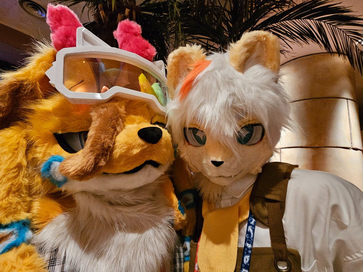 SKIPO🐙 tweet media