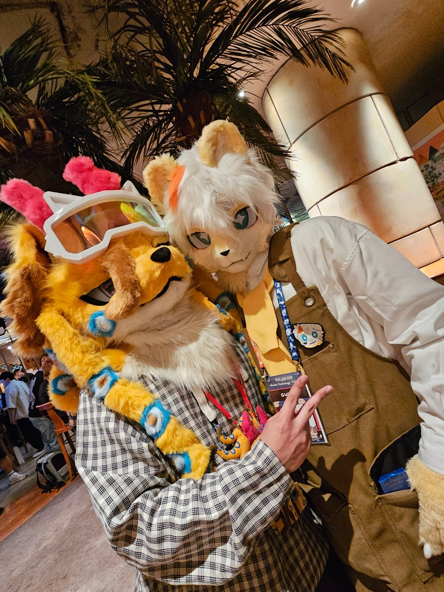 SKIPO🐙 tweet media