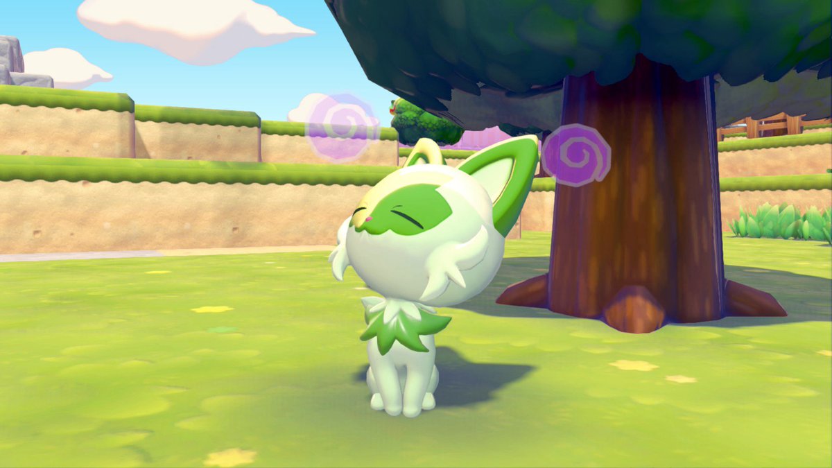 竜丸〜りゅうまる〜 tweet media