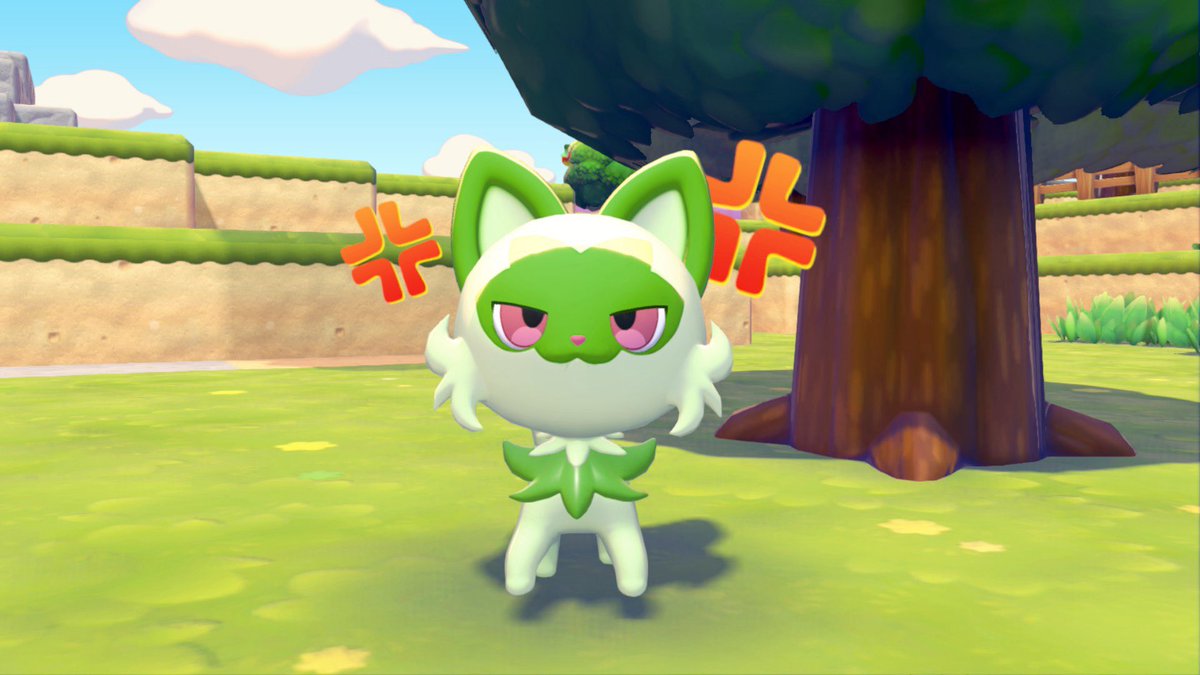 竜丸〜りゅうまる〜 tweet media