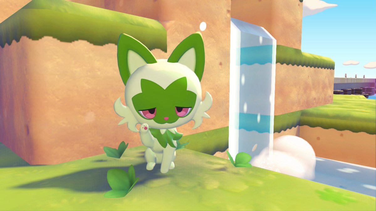 竜丸〜りゅうまる〜 tweet media