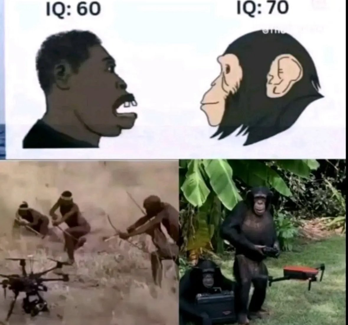 Most Wanted tweet media