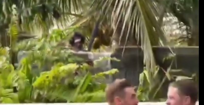 YOUNG LAVISH 🇨🇦🍁🇨🇦 tweet media